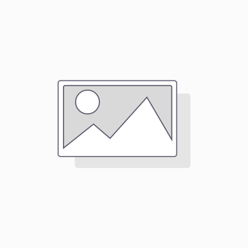 Lumea AI Professional